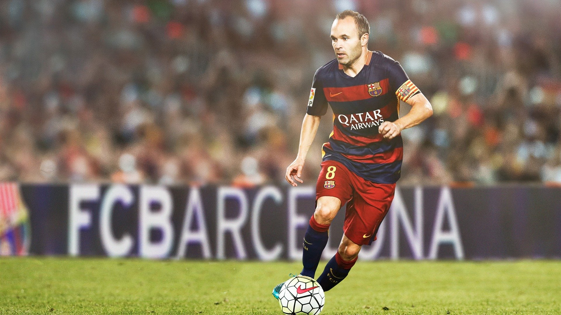 中国跳水队包揽世界杯金牌 新生代选手展现绝对统治力