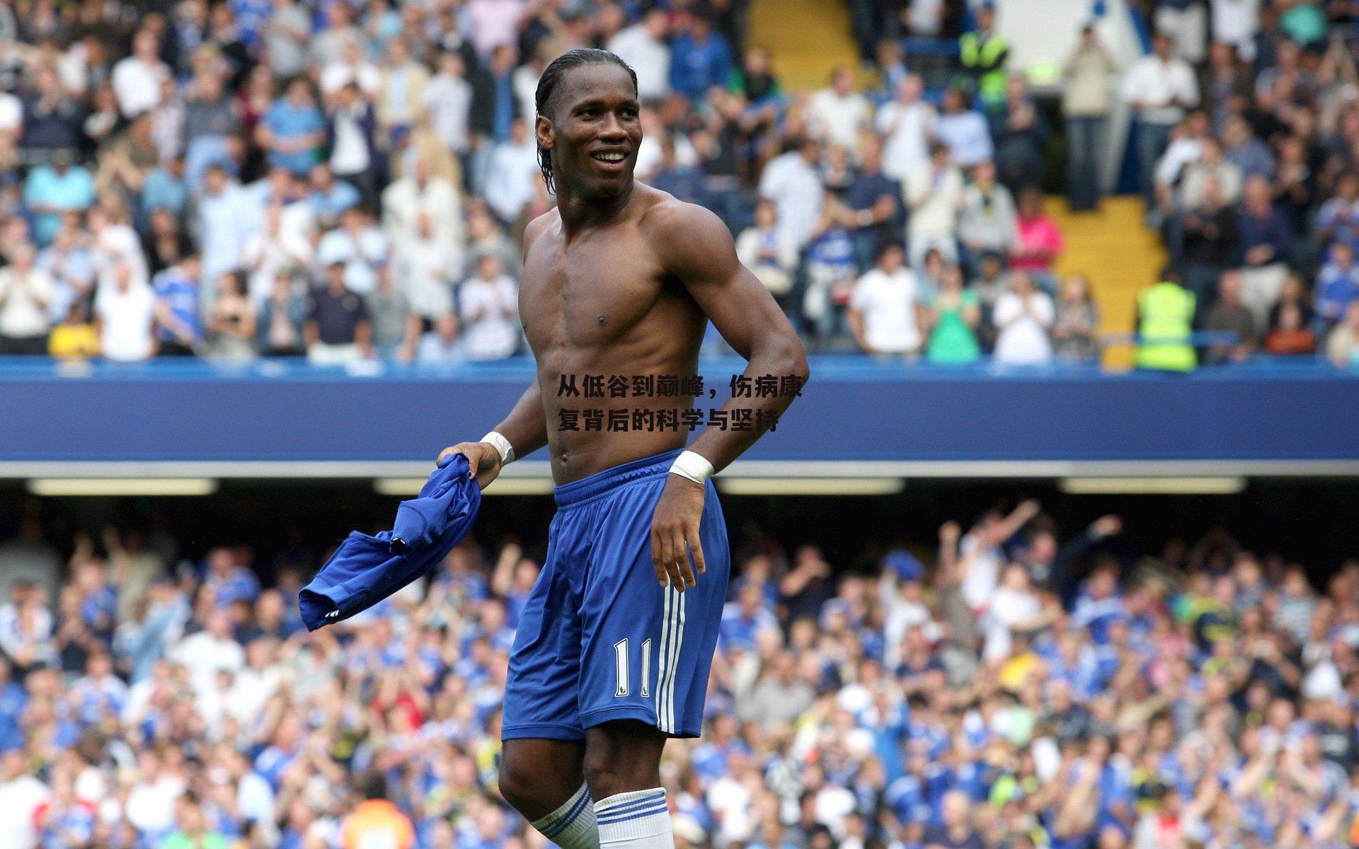 从低谷到巅峰，伤病康复背后的科学与坚持