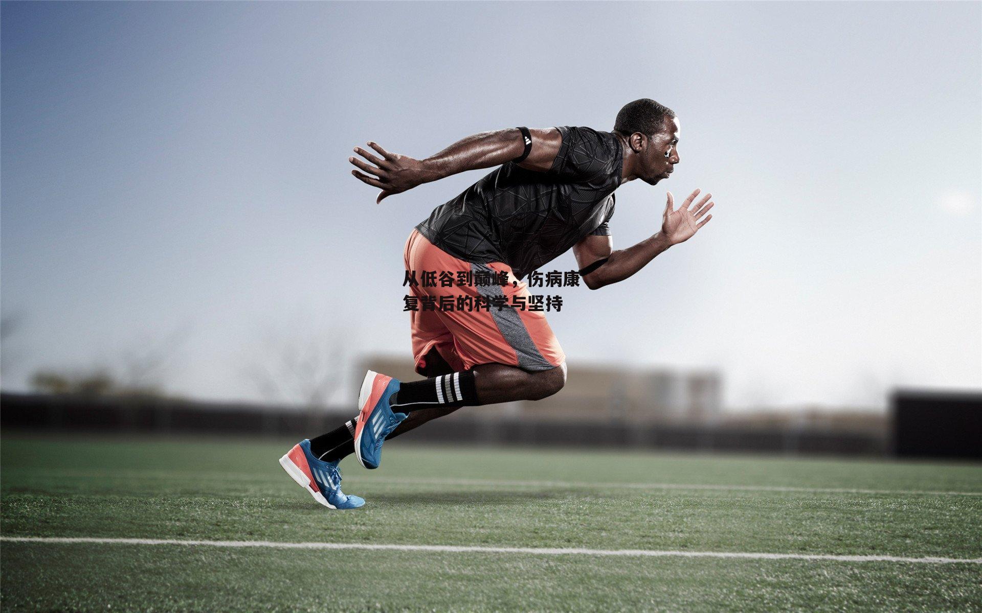 从低谷到巅峰，伤病康复背后的科学与坚持